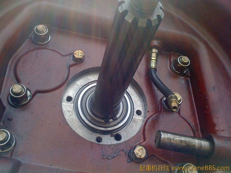 手机照片 1784.jpg