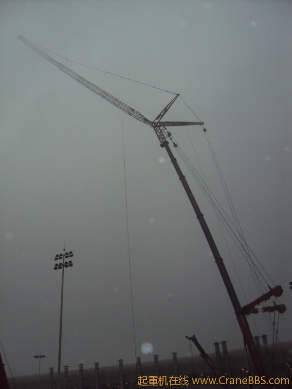 SC091363.JPG