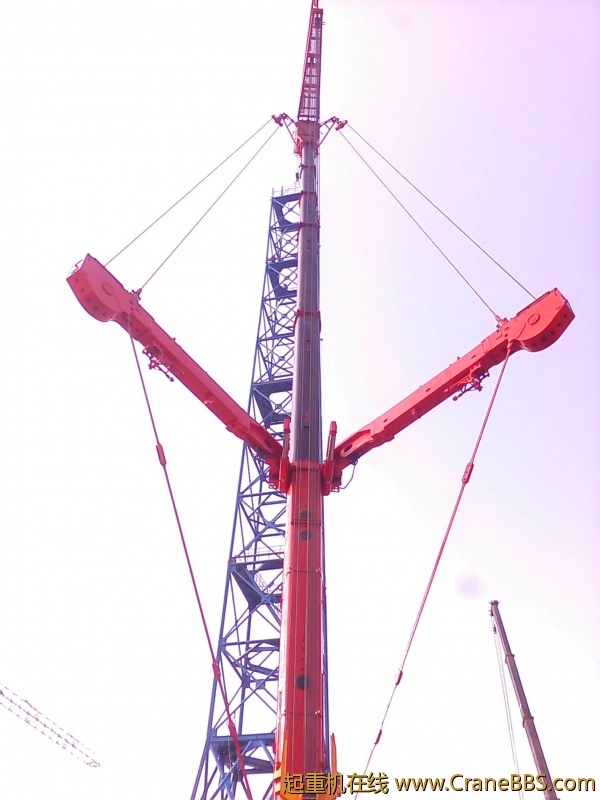 CAM_0796.jpg