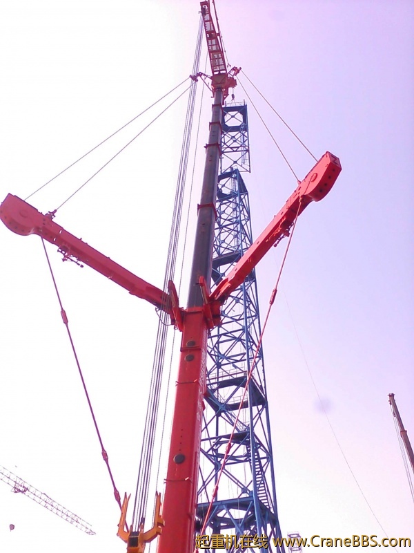 CAM_0783.jpg