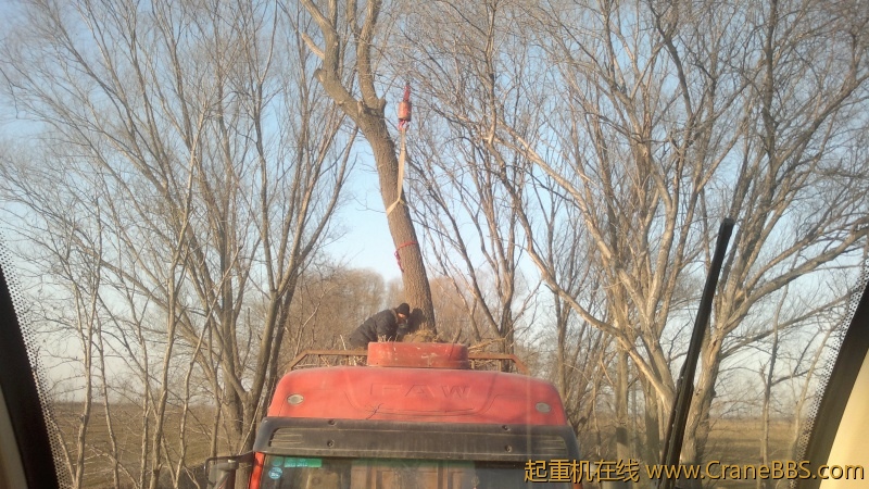20120216050.jpg
