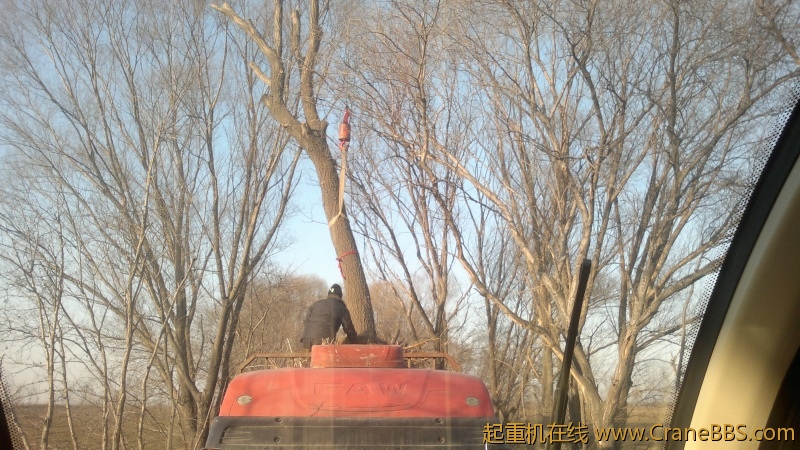 20120216051.jpg