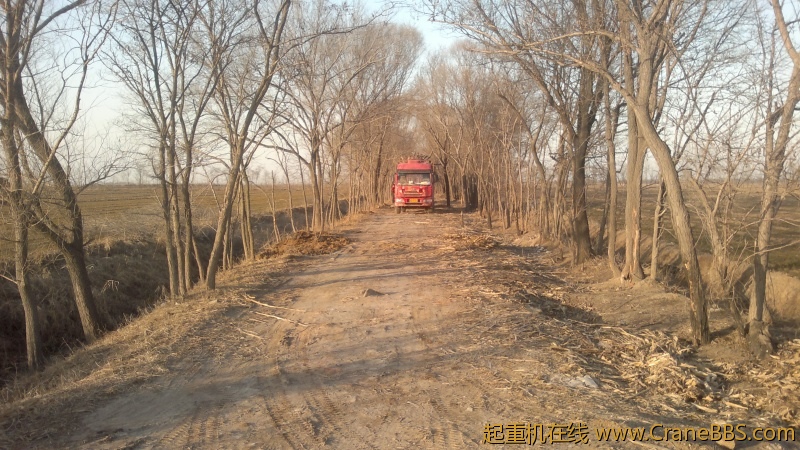 20120216052.jpg