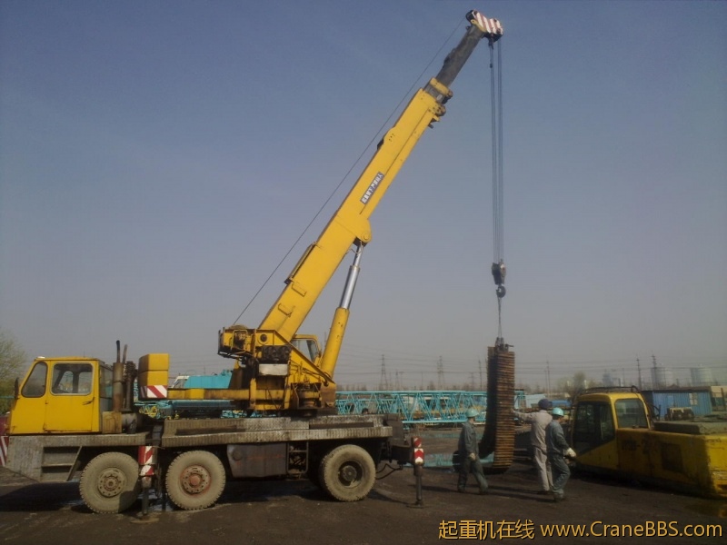 20100317808.jpg