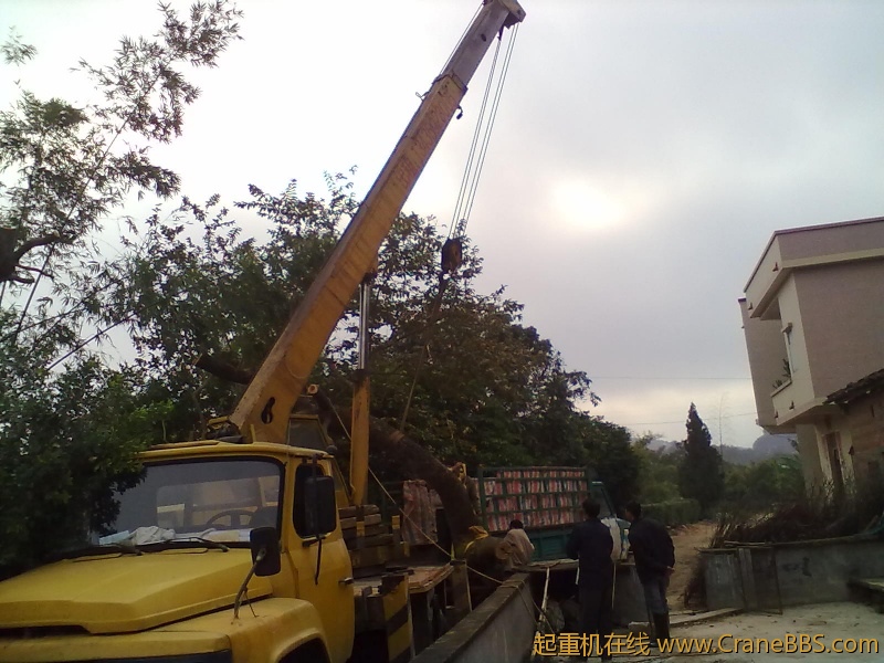 20120118003.jpg