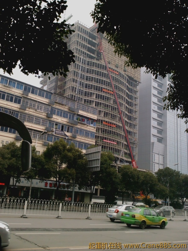 IMG_20120214_104832_0.jpg