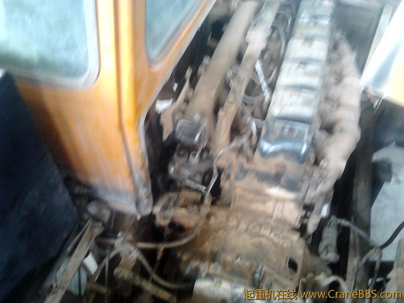 IMG_20120222_164231.jpg