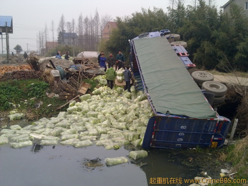 201202241072.jpg