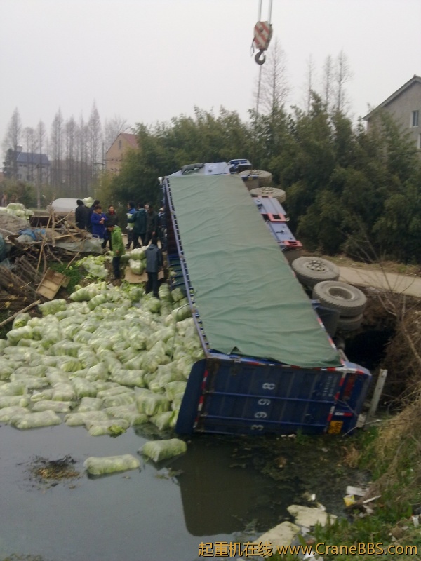 201202241073.jpg