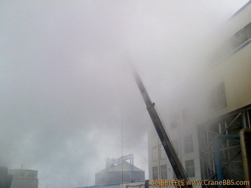 IMG0503A.jpg