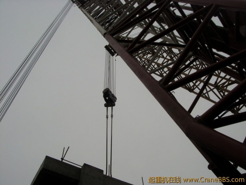 S73F3364_conew1.JPG