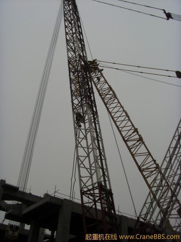 S73F3361_conew1.JPG