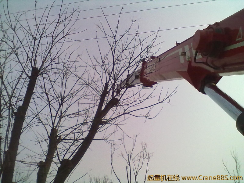 20120220098.jpg