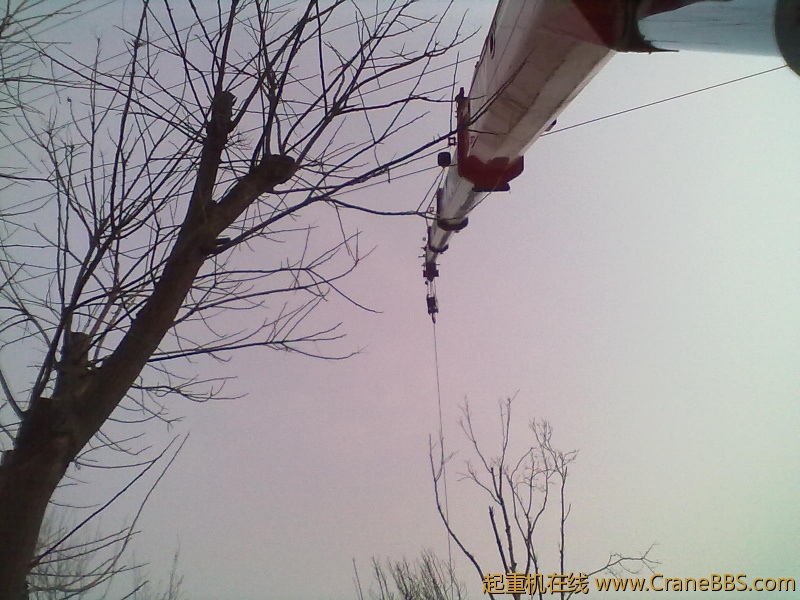 20120220099.jpg