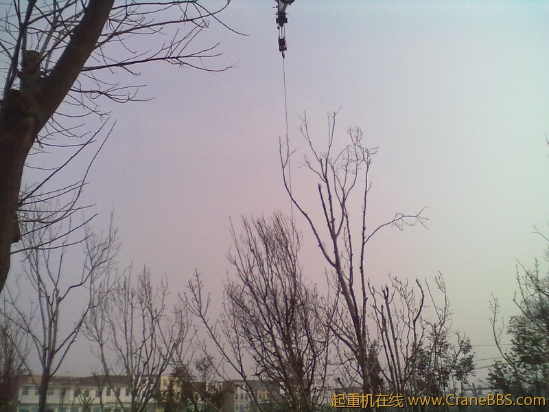 20120220100.jpg