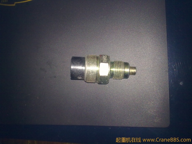 20110808546.jpg