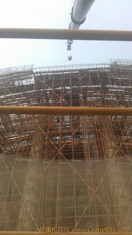 IMAG0019.jpg