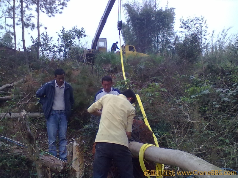 20120302078.jpg