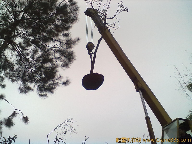 20120302088.jpg