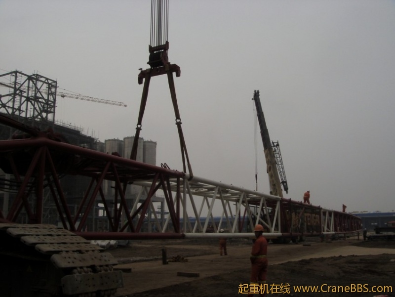 S73F3376_conew1.JPG