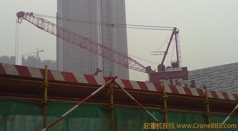 20120302271.jpg