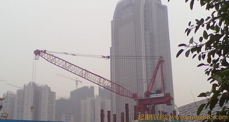 20120302272.jpg
