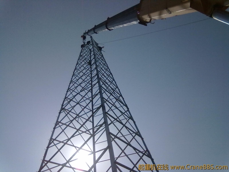 20110313006.jpg