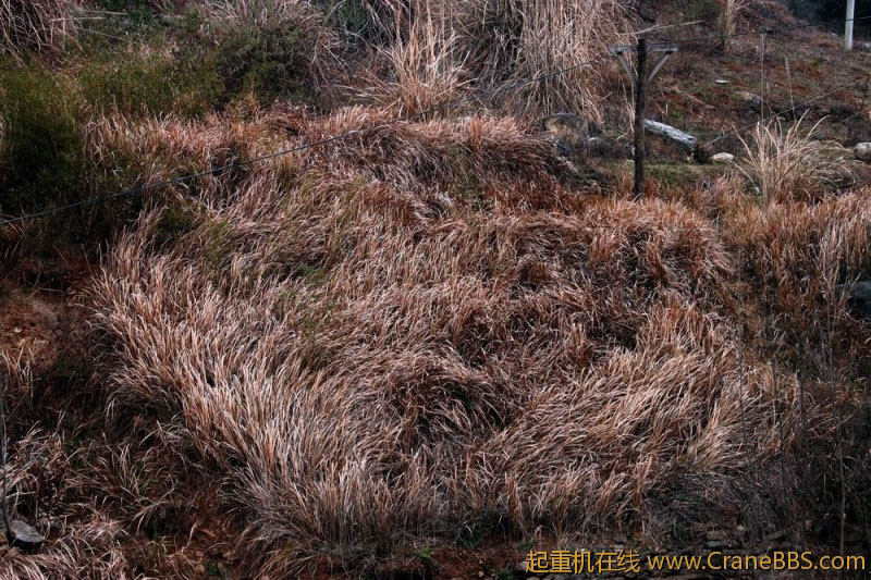 调整大小 IMG_1482.JPG