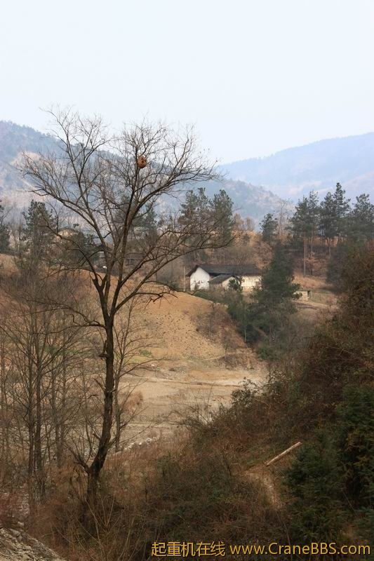 调整大小 IMG_1599.JPG