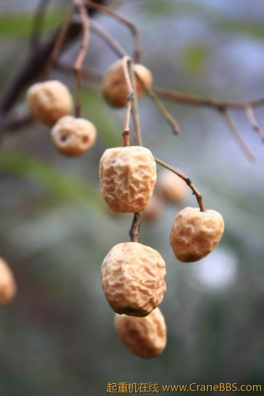 调整大小 IMG_1742.JPG