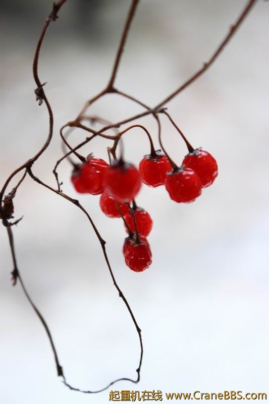 调整大小 IMG_1963.JPG