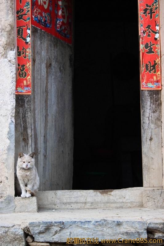 调整大小 IMG_1693.JPG