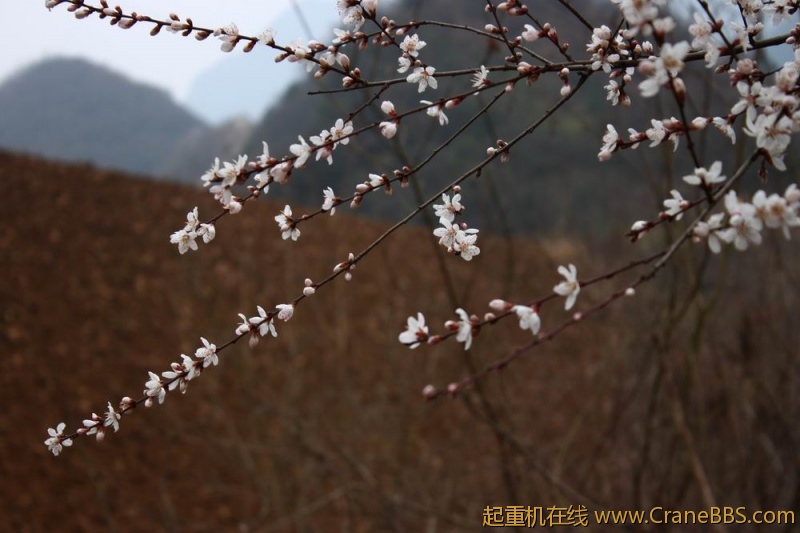 调整大小 IMG_2484.JPG