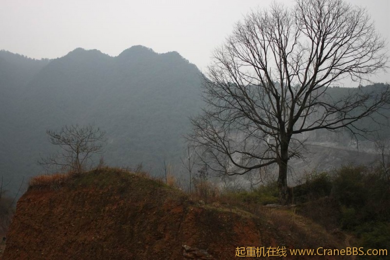 调整大小 IMG_2500.JPG