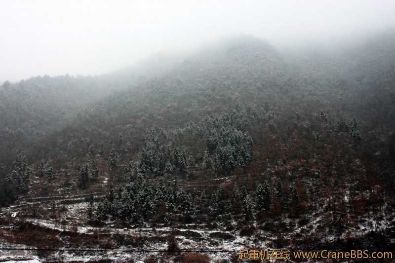 调整大小 IMG_2996.JPG