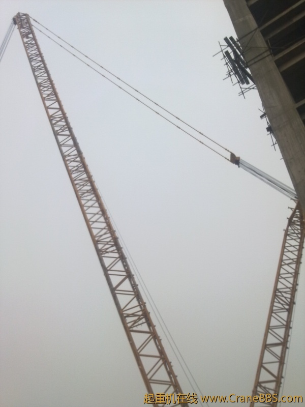 20120226039.jpg
