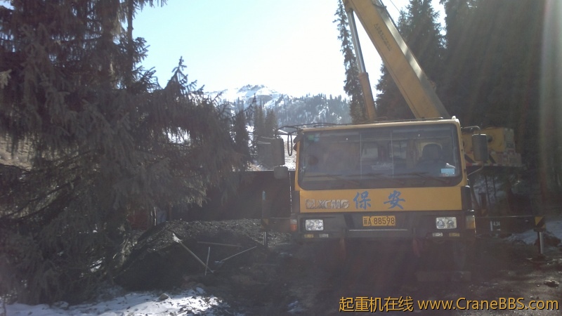 20120303451.jpg