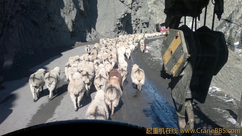 20120303466.jpg