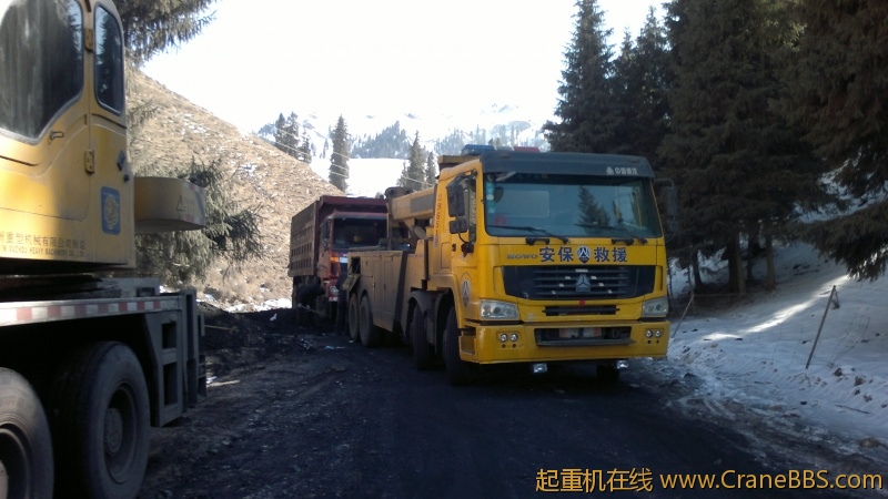 20120303462.jpg