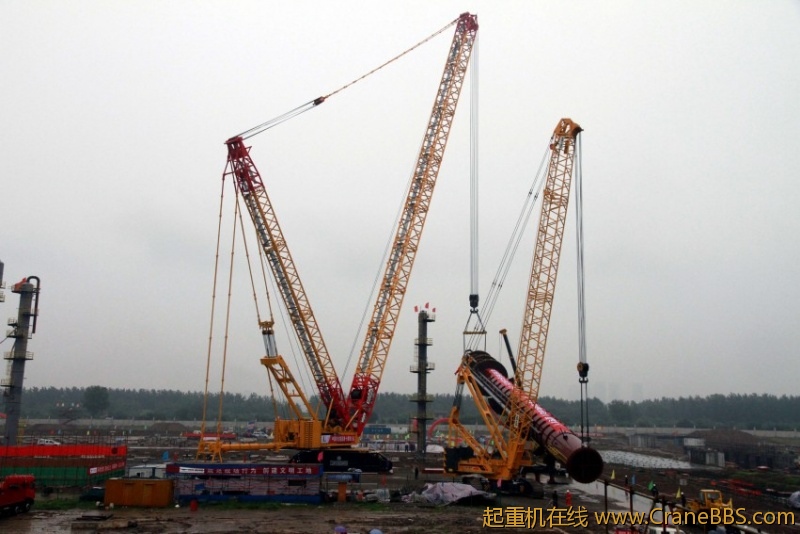 IMG_249800_conew1.jpg