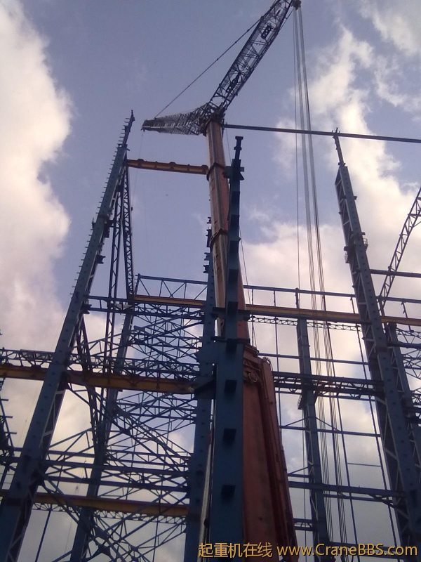 20120306082.jpg