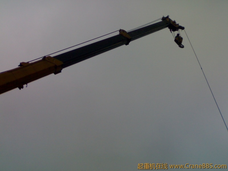 20120308465.jpg