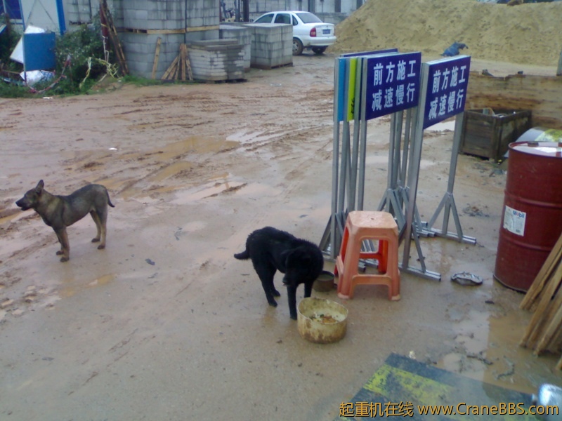 20120308466.jpg