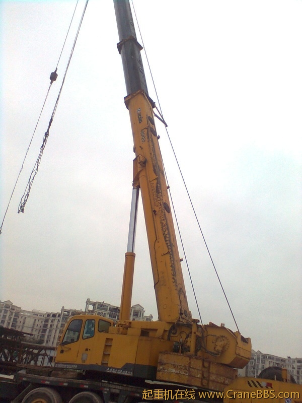 图像2345.jpg