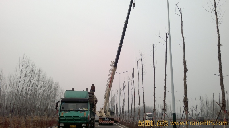 20120310079.jpg