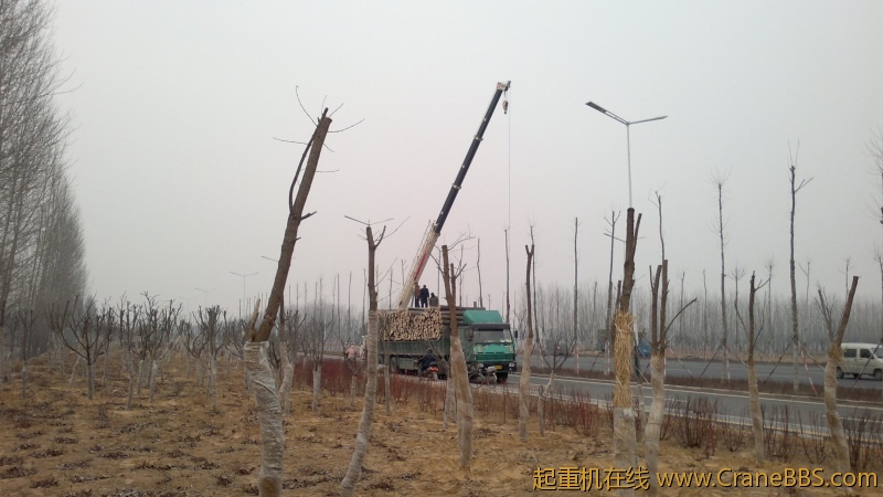 20120310080.jpg