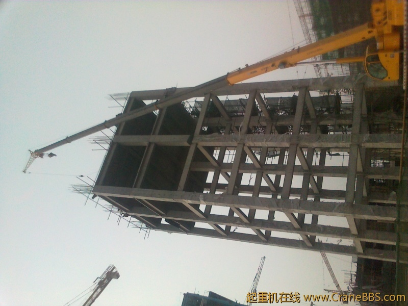 20120302684[1].jpg