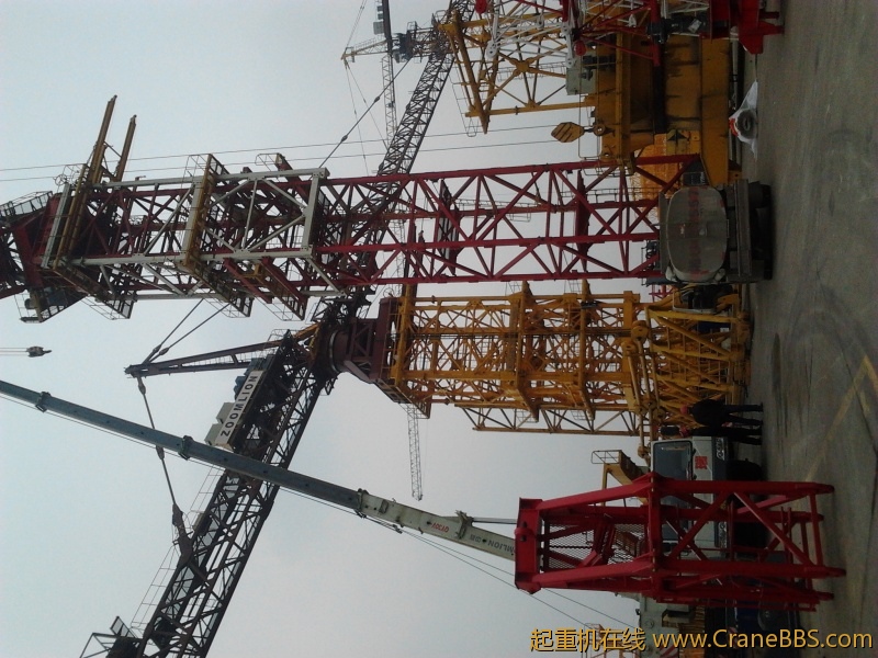 2012-02-29 13.55.26.jpg