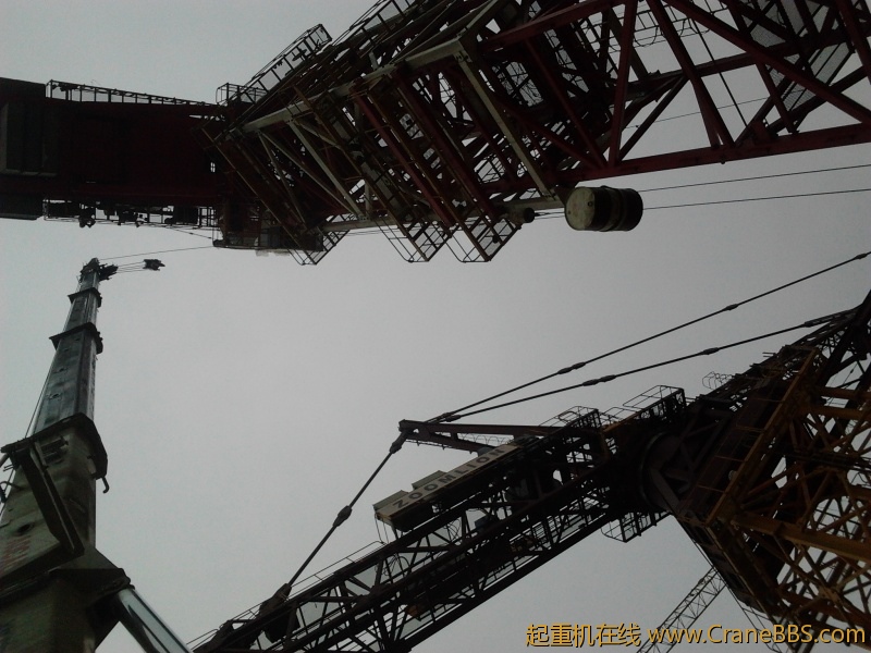 2012-02-29 14.07.04.jpg