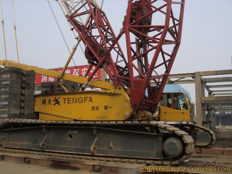 S73F3482_conew1.JPG